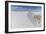 White Sands National Monument, New Mexico-Ian Shive-Framed Photographic Print