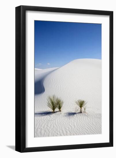 White Sands National Monument, New Mexico-Ian Shive-Framed Photographic Print