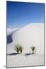 White Sands National Monument, New Mexico-Ian Shive-Mounted Photographic Print