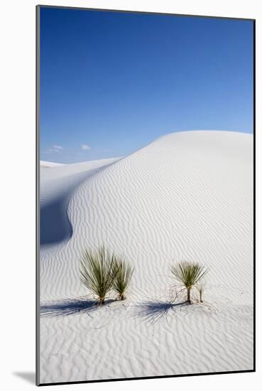 White Sands National Monument, New Mexico-Ian Shive-Mounted Photographic Print