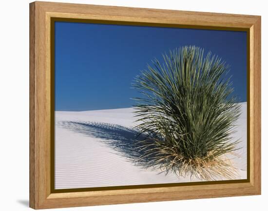 White Sands, New Mexico, USA-Dee Ann Pederson-Framed Premier Image Canvas