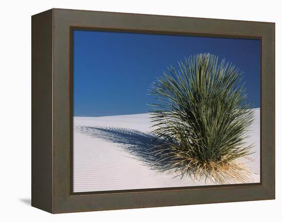 White Sands, New Mexico, USA-Dee Ann Pederson-Framed Premier Image Canvas