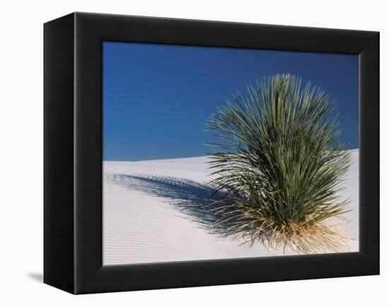 White Sands, New Mexico, USA-Dee Ann Pederson-Framed Premier Image Canvas