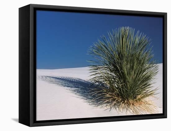White Sands, New Mexico, USA-Dee Ann Pederson-Framed Premier Image Canvas