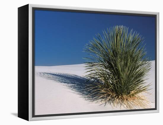 White Sands, New Mexico, USA-Dee Ann Pederson-Framed Premier Image Canvas