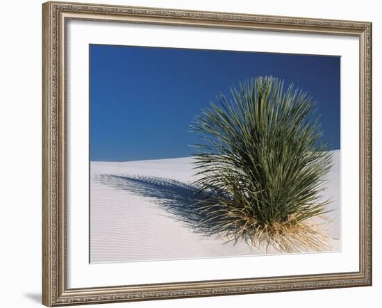 White Sands, New Mexico, USA-Dee Ann Pederson-Framed Photographic Print