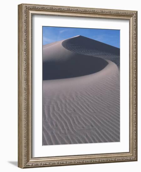 White Sands, New Mexico, USA-Dee Ann Pederson-Framed Photographic Print