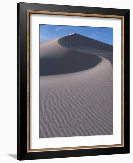 White Sands, New Mexico, USA-Dee Ann Pederson-Framed Photographic Print