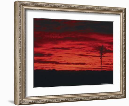 White Sands, New Mexico, USA-Dee Ann Pederson-Framed Photographic Print