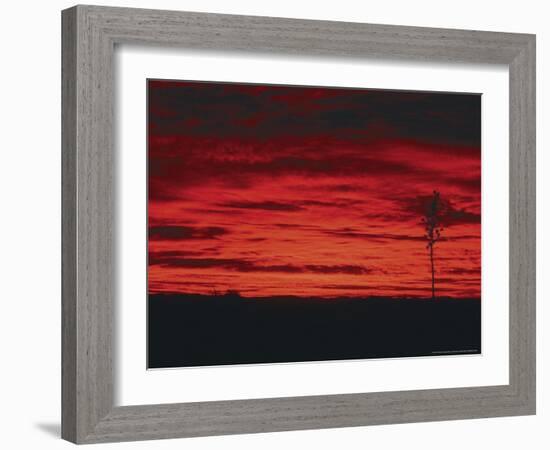 White Sands, New Mexico, USA-Dee Ann Pederson-Framed Photographic Print