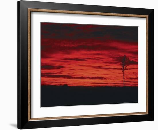 White Sands, New Mexico, USA-Dee Ann Pederson-Framed Photographic Print