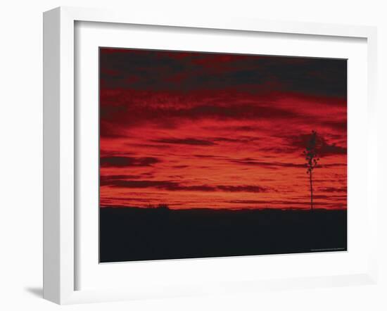 White Sands, New Mexico, USA-Dee Ann Pederson-Framed Photographic Print