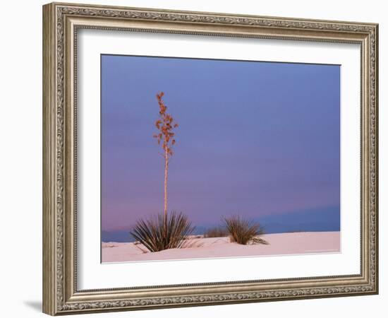 White Sands, New Mexico, USA-Dee Ann Pederson-Framed Photographic Print