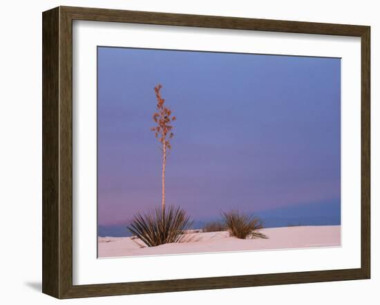 White Sands, New Mexico, USA-Dee Ann Pederson-Framed Photographic Print