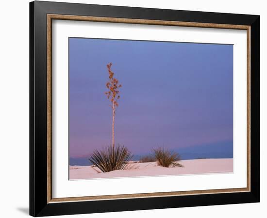 White Sands, New Mexico, USA-Dee Ann Pederson-Framed Photographic Print