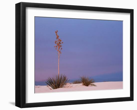 White Sands, New Mexico, USA-Dee Ann Pederson-Framed Photographic Print