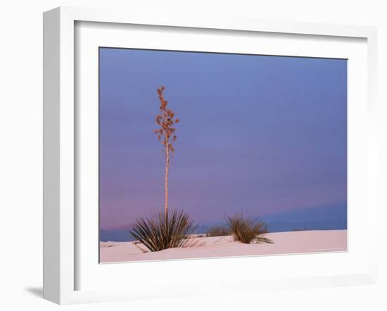 White Sands, New Mexico, USA-Dee Ann Pederson-Framed Photographic Print