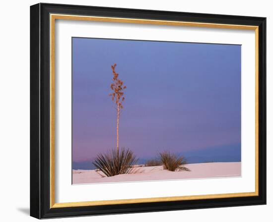 White Sands, New Mexico, USA-Dee Ann Pederson-Framed Photographic Print