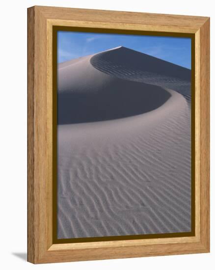 White Sands, New Mexico, USA-Dee Ann Pederson-Framed Premier Image Canvas