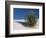 White Sands, New Mexico, USA-Dee Ann Pederson-Framed Photographic Print