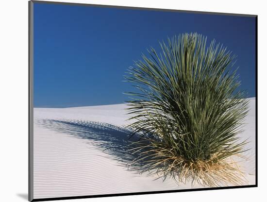 White Sands, New Mexico, USA-Dee Ann Pederson-Mounted Photographic Print