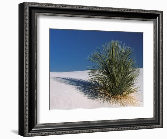 White Sands, New Mexico, USA-Dee Ann Pederson-Framed Photographic Print