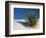 White Sands, New Mexico, USA-Dee Ann Pederson-Framed Photographic Print