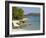 White Sandy Beach, Morar, Highlands, Scotland, United Kingdom, Europe-Gary Cook-Framed Photographic Print