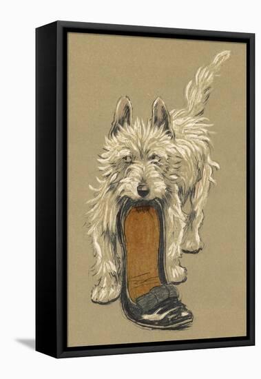 White Scots Terrier with a Black Slipper or Shoe-Cecil Aldin-Framed Premier Image Canvas