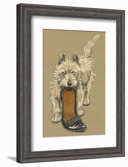 White Scots Terrier with a Black Slipper or Shoe-Cecil Aldin-Framed Photographic Print