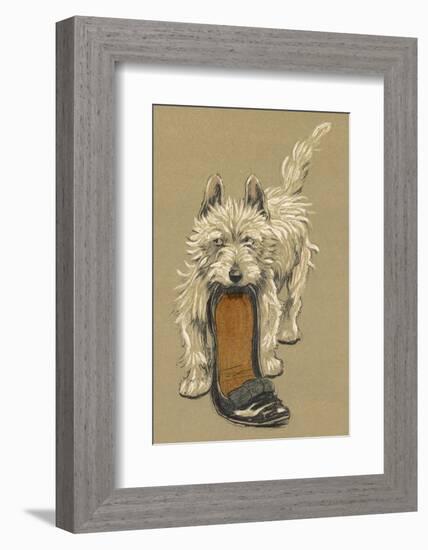 White Scots Terrier with a Black Slipper or Shoe-Cecil Aldin-Framed Photographic Print