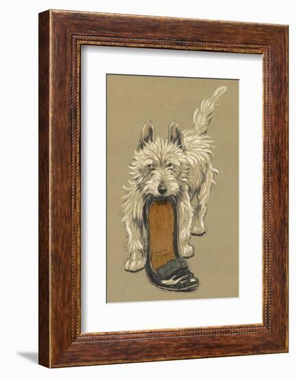 White Scots Terrier with a Black Slipper or Shoe-Cecil Aldin-Framed Photographic Print