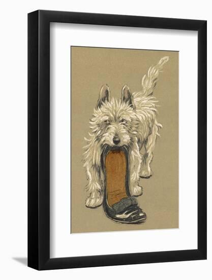 White Scots Terrier with a Black Slipper or Shoe-Cecil Aldin-Framed Photographic Print