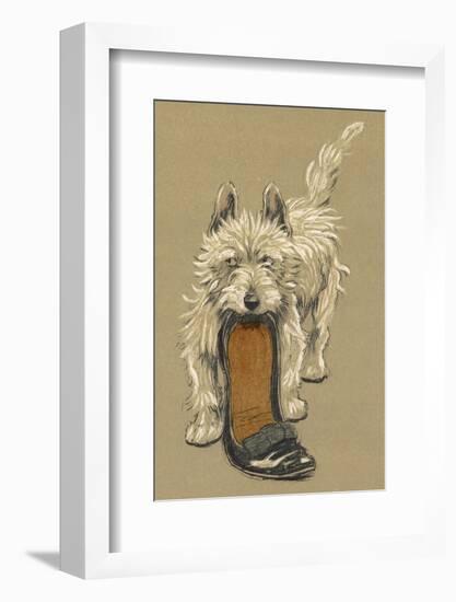 White Scots Terrier with a Black Slipper or Shoe-Cecil Aldin-Framed Photographic Print