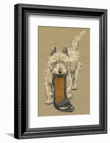 White Scots Terrier with a Black Slipper or Shoe-Cecil Aldin-Framed Photographic Print