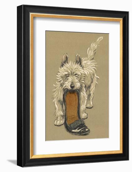 White Scots Terrier with a Black Slipper or Shoe-Cecil Aldin-Framed Photographic Print