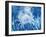 White Sea Creatures 3-Kimberly Allen-Framed Art Print