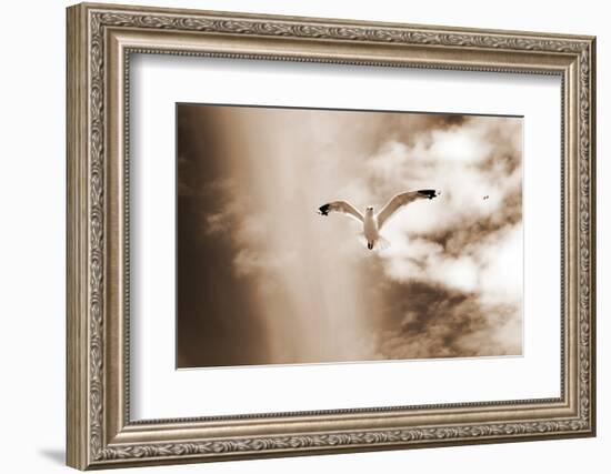 White Sea Gulls Flying over the Dunes in the Sky in Rich Sepia Tones-Alaya Gadeh-Framed Photographic Print