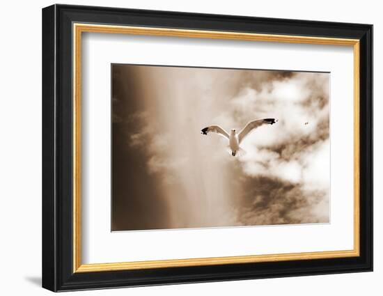 White Sea Gulls Flying over the Dunes in the Sky in Rich Sepia Tones-Alaya Gadeh-Framed Photographic Print