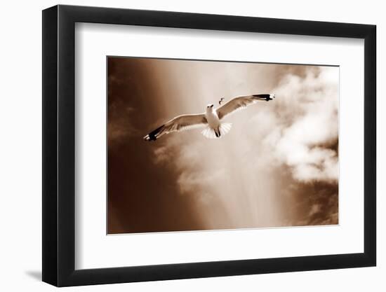 White Sea Gulls Flying over the Dunes in the Sky in Rich Sepia Tones-Alaya Gadeh-Framed Photographic Print