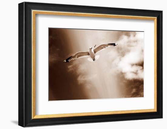 White Sea Gulls Flying over the Dunes in the Sky in Rich Sepia Tones-Alaya Gadeh-Framed Photographic Print