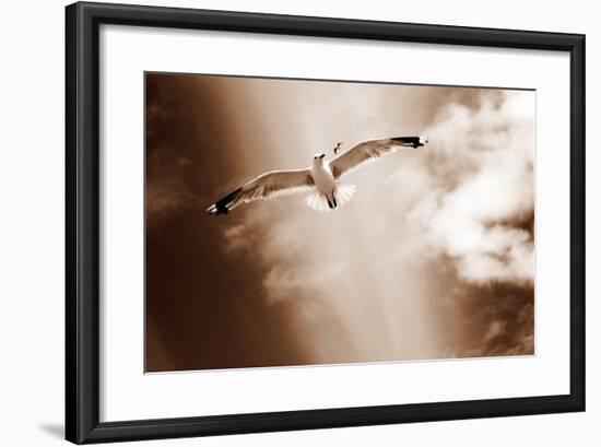 White Sea Gulls Flying over the Dunes in the Sky in Rich Sepia Tones-Alaya Gadeh-Framed Photographic Print