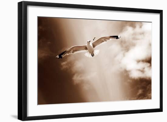 White Sea Gulls Flying over the Dunes in the Sky in Rich Sepia Tones-Alaya Gadeh-Framed Photographic Print