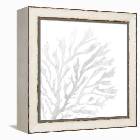 White Seaweed 2-Denise Brown-Framed Stretched Canvas