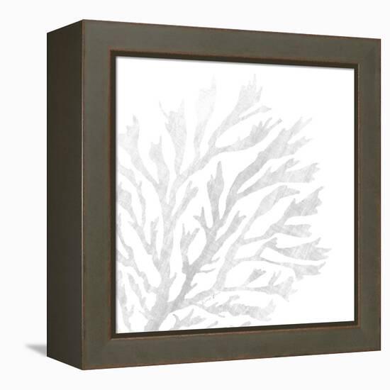 White Seaweed 2-Denise Brown-Framed Stretched Canvas