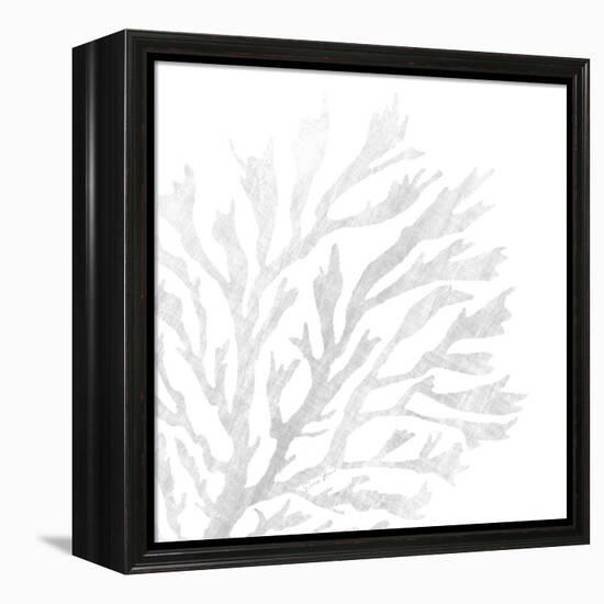 White Seaweed 2-Denise Brown-Framed Stretched Canvas
