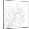 White Seaweed 2-Denise Brown-Mounted Art Print