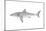 White Shark (Carcharodon Carcharias), Fishes-Encyclopaedia Britannica-Mounted Art Print