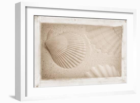 White Shells and Sand-Cora Niele-Framed Giclee Print