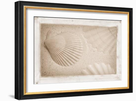 White Shells and Sand-Cora Niele-Framed Giclee Print